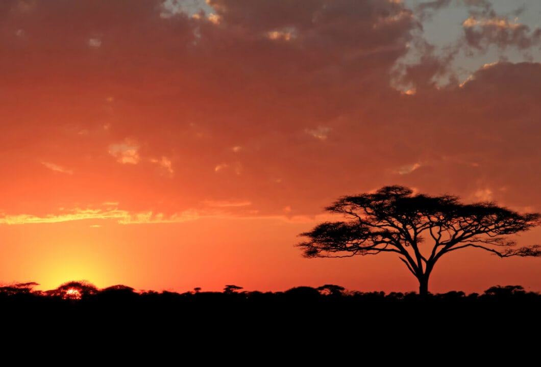 Tansania: Safari-Abenteuer im Bilderbuch-Afrika