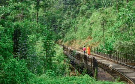 Zwei orange gekleidete Mönche gehen auf Bahnschienen, welche durch den grünen Dschungel führen